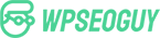 Wordpress Seo Guy
